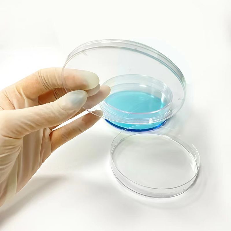 Contenedor de placa de cultivo de Petri de laboratorio de plástico 150mm
