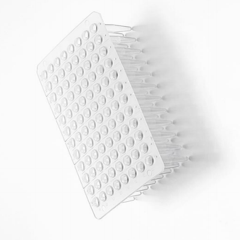Placa de PCR Plantilla de placa de PCR de color blanco sin faldón de 0,1 ml