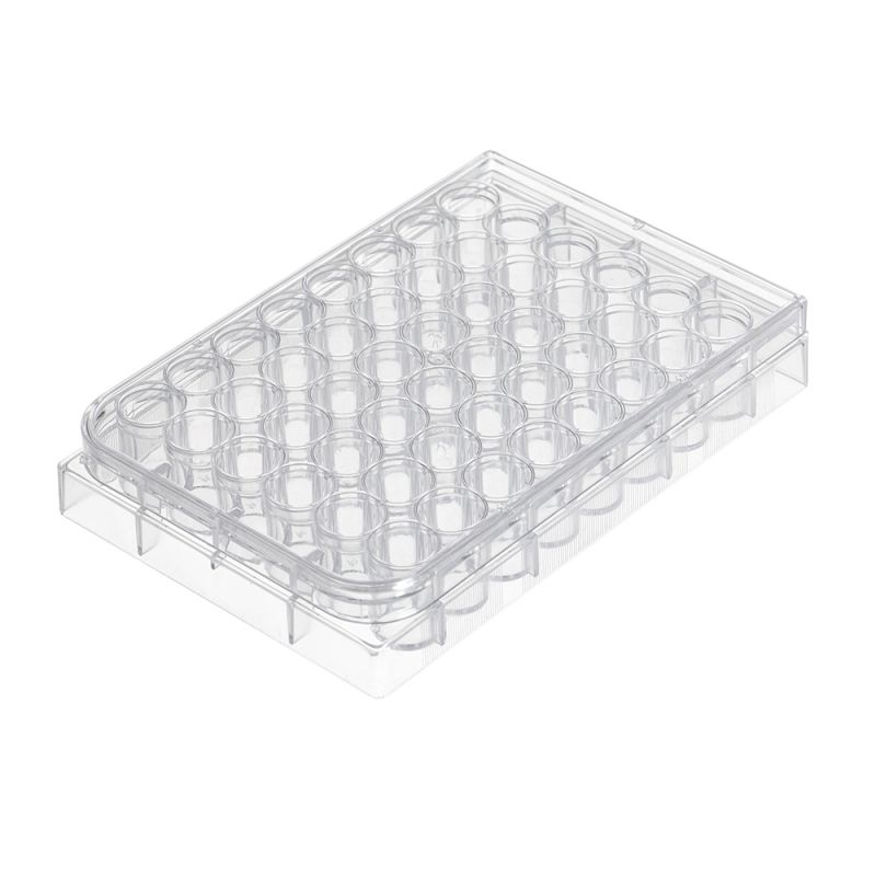 cell culture plate surface area