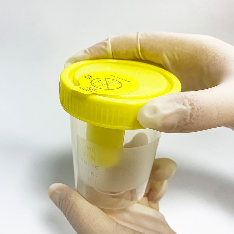 collapsible urine container lab